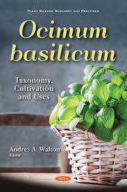 Image result for Basilicum