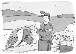 Cat Person The New Yorker