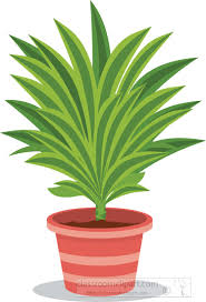 Tall green plant in a red pot clipart. Plants Clipart Indoor Decorative Potted Plants Clipart Classroom Clipart