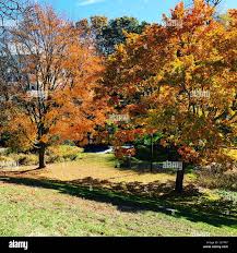 Brook Park