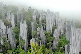 Taman negara, kampung kuala tembeling, pahang, malaysia. Gunung Mulu Nationalpark Auf Borneo Malaysia Franks Travelbox