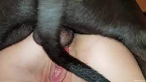 Nude wife endures deep penetration sex with a dog - XXXSexZoo.com