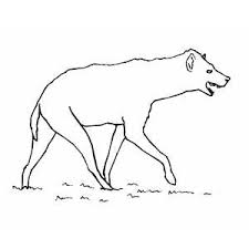 Vintage crocus coloring page for free! Hyena Coloring Page
