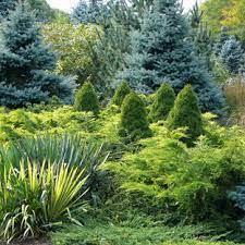 Is located in fort myers, fl, united states and is part of the architectural & engineering services industry. Juniper Landscaping Ideas Photos Houzz