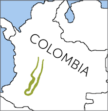El deportes tolima obtiene en bogotá su tercera estrella en el fútbol profesional colombiano de la mano del cuerpo técnico tolimense. Tolima Dove American Bird Conservancy