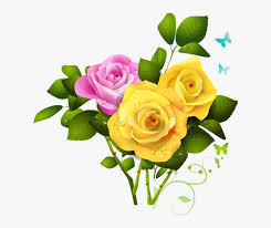We did not find results for: Yellow Rose Png File Pink Rose And Yellow Rose Transparent Png Kindpng