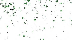 Autumn leaves falling animation i made, feel free to use in your creations. Top 30 Leaves Falling Gifs Find The Best Gif On Gfycat