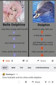 Cursed Dolphin : rcursedcomments