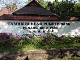 Things to do in penang island. Taman Burung Pulau Pinang Makanashiu