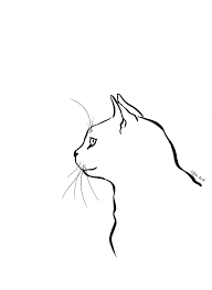 The idea at this point isn't to make a line drawing of the. Black And White Cat Ink Drawing Drawing By Karen Kaspar