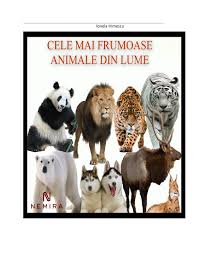 Exemple de întrebări din quizul animalute dragute. Cele Mai Frumoase Animale Din Lume By Irimescu Ionela Issuu