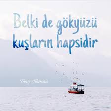 Belki De Gokyuzu Kuslarin Hapsidir Tunc Ilkman Kaynak Instagram Tuncilkman Sozler Anlamlisozler Guzelsozle Kus Sozleri Alinti Sozler Ozlu Sozler