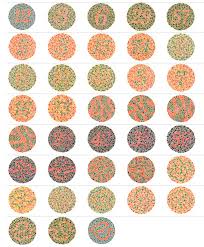 Ishihara Test Chart Book For Color Deficiency 38 Plate