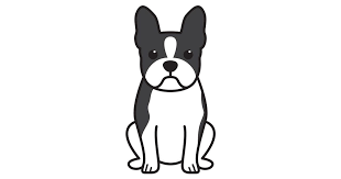 Black And White Boston Terrier Cartoon Boston Terrier Buy Boston Terrier Animation Online Boston Terrier Art Boston Terrier Painting Boston Terrier Puppy
