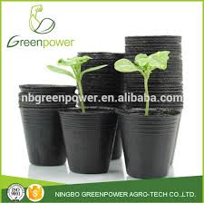 Learn clever ways you can reuse your old black plastic container pots so they aren't just stacking up and taking up space in your garden or garage. Source Factory Price Cheap Black Flexible Plastic Nursery Pots Soft Flower Pot On M Alibaba Com Plastic Nursery Pots Seedling Pots Flower Pots
