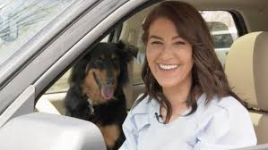 Adam's all purpose cleaner is a fully functional, safe and effective product for any surface. How To Clean Your Car Interior