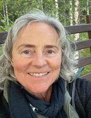 Uttalelser fra deltakere