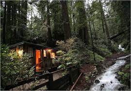 Can T See The Forest For The Trees Big Sur California Travel California Camping