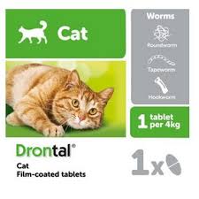 Kepentingan pengambilan ubat cacing blog sihatimerahjambu via www.azhafizah.com. Buy Cat Deworm Ubat Cacing Kucing 1 Tab Loose Seetracker Malaysia