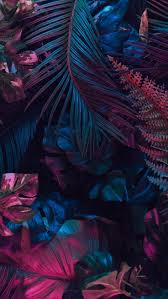 nancy emara (nancyemara)