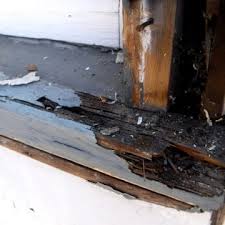 Maybe you would like to learn more about one of these? Sfw Construction Llc Tualatin Or 97062
