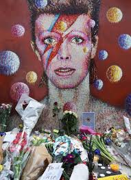 esme miranda mull (@esmemirandamull)