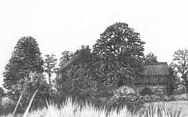 Drawing Nature And Landscapes How To Draw Nature Outdoors With Drawing Lessons Step By Step Techniques For Cartoons Illustrations They should be subtle and gently.
