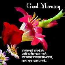 Pin By Manu Nayak On Goodmorning Good Morning Quotes Good Morning Greetings Morning Pictures