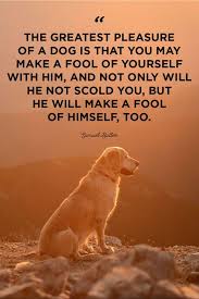 Dec 04, 2016 · many years ago, shortly after my friend janet passed away, i had a vivid and intense dream about her. 40 Best Dog Quotes Cute Sweet Quotes About Dogs