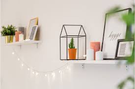 Donde Colocar Los Cactus Segun El Feng Shui Beledi Muebles