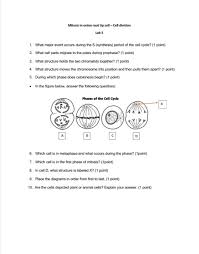Check spelling or type a new query. Mitosis In Onion Root Tip Cell Cell Division Labs 1 Chegg Com