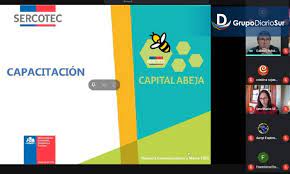 We did not find results for: Emprendedoras De Los Rios Reciben Orientacion Sobre Capital Abeja 2021 Diario Futrono