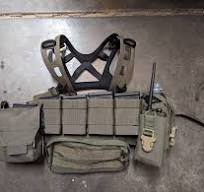 Ranger Green Chest Rig: Mixed DIY, Surplus, Gucci, and ...