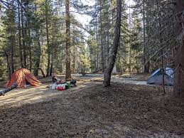It's best to contact the individual agency for specifics. Dispersed Camping In Sequoia National Forest Camping
