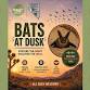 Bats at Dusk: A Nevada Bat Viewing Experience