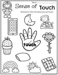 5 Senses Planning Playtime In 2020 Senses Preschool Five Senses Preschool Five Senses Kindergarten