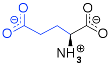 glutamic acid wikipedia