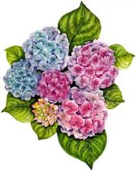 Raccogli i frutti del tuo lavoro dai campi, semina nuovamente per avere scorte abbondanti e crea prodotti da vendere. Carte Decoupage Da Stampare Gratis Fiori Manifantasia