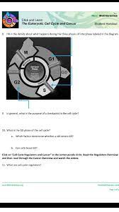 Phases of the cell cycle. Hhmi Biolnteractiv Click And Learn The Eukaryotic Chegg Com