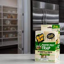 Within a couple of days i had. Reviews For Black Flag Pantry Pest Trap Glue Traps 2 Count Hg 11038 1 The Home Depot