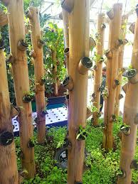 Newly Planted Bamboo Vertical Garden Vertical Herb Garden Vertical Garden Diy Bamboo Garden