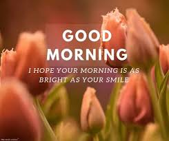 Download good morning stock photos. 150 Beautiful Good Morning Images Best Collection