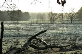 The property is within 6 miles of fn museet and about 6 miles from the froslev camp museum. Bingo Projekt Von Mooren Und Moorgeistern Nabu Schleswig Holstein