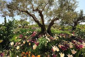 We did not find results for: Stunning Image Of Olive Tree In A Field Of Flowers Takes First Place In Nature Photography Competition Daily Mail Online