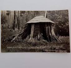 1912 Port Angeles Wash Stump House Pioneers Post Office Photo Postcard Rppc With Images Photo Postcards Antique Photography Photo