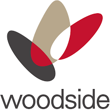 He is an actor and director, known for lucifer (2016), 24 (2001) and romeo must die (2000). Woodside Logos Brands And Logotypes