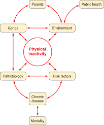 The optn is operated under contract with the u.s. Role Of Inactivity In Chronic Diseases Evolutionary Insight And Pathophysiological Mechanisms Physiological Reviews