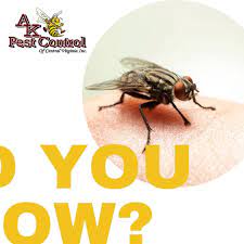 E.a.k.cleaningllc is a small cleaning service that was formed in culpeper va. Ak Pest Control Central Va Posts Facebook