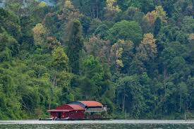 Paricipants took this time to get to know one another and of course discuss. Houseboat At Temengor Lake In Royal Belum Rainforest Perak Malaysia Stock Photo Adobe Stock