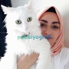 Kedi Hikayeleri Panosundaki Pin
